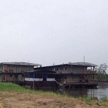 Southern Swamp Associated gas | SSAGS